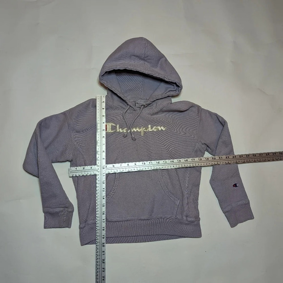 Champion Smoked Lilac Purple Embroidered Logo Hoodie Sweatshirt  Woman's Small - Picture 8 of 10